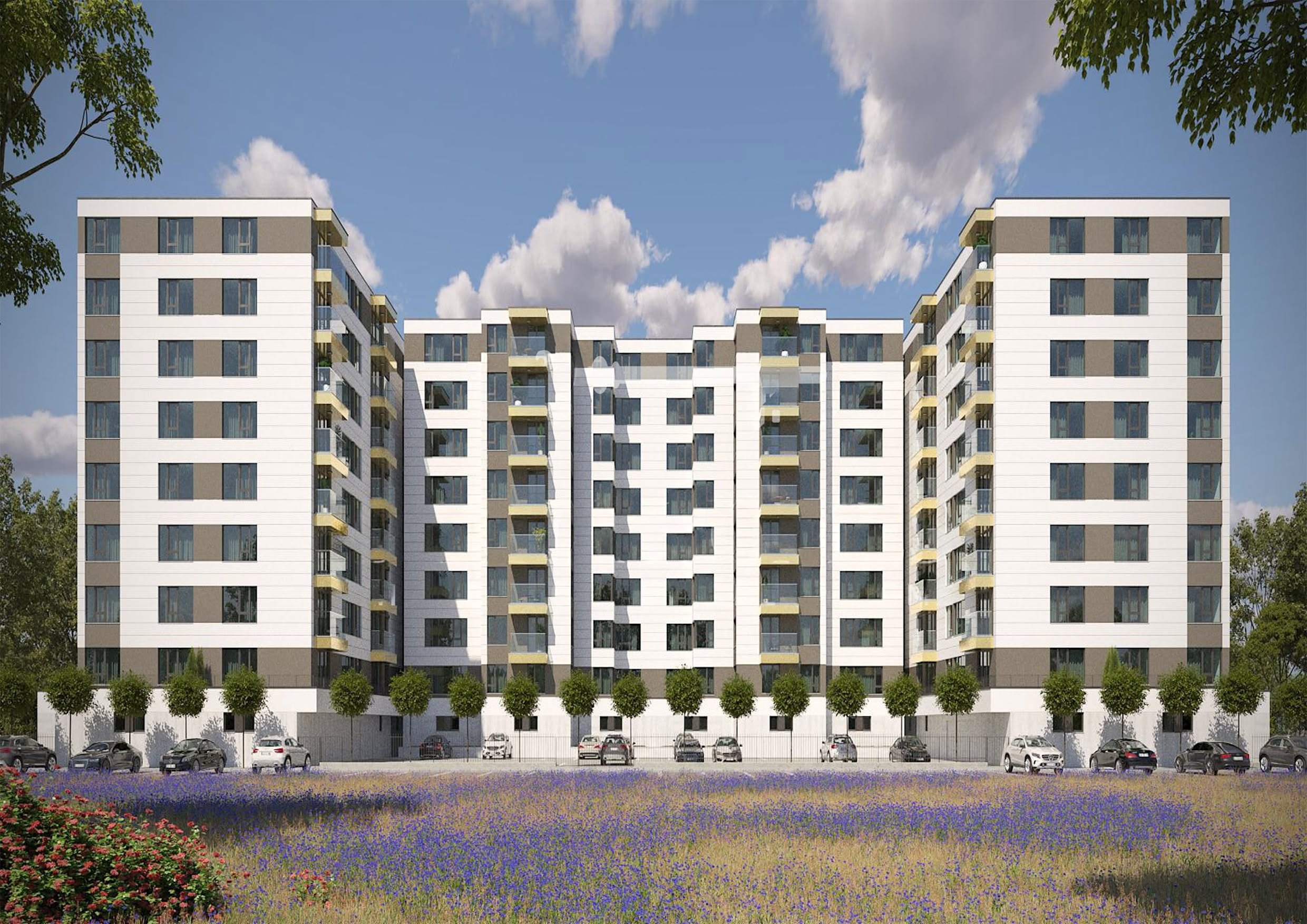 wmremove-transformed-2