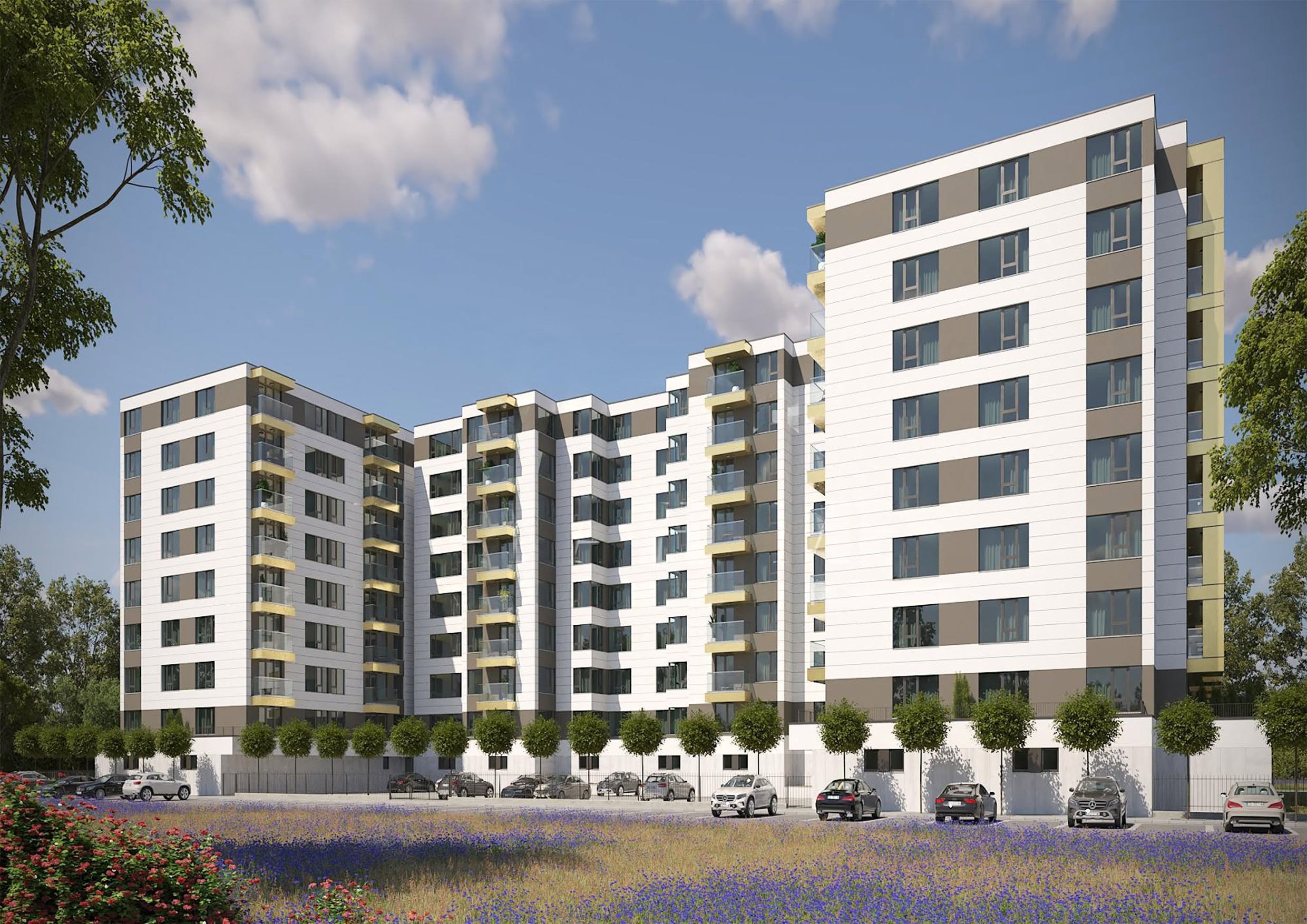 wmremove-transformed-3